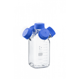 Kinh nghiệm chuyên sâu